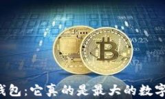 深入解析TP钱包：它真的是最大的数字货币钱包吗