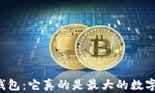 
深入解析TP钱包：它真的是最大的数字货币钱包吗？