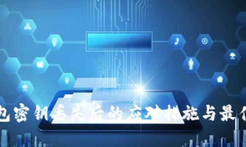 TP钱包密钥丢失后的应对措施与最佳实践