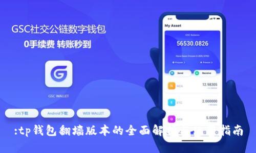 :tp钱包翻墙版本的全面解析与使用指南