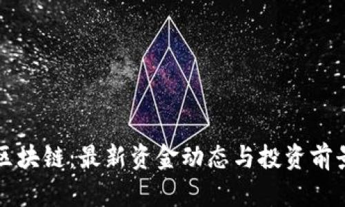 瑞波区块链：最新资金动态与投资前景分析