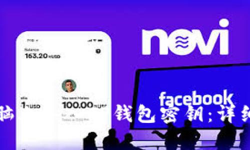 如何在电脑上导入TP钱包密钥：详细操作指南