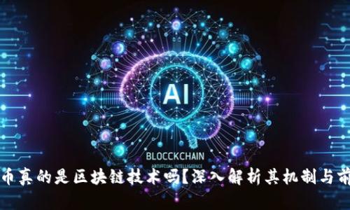 PI币真的是区块链技术吗？深入解析其机制与前景