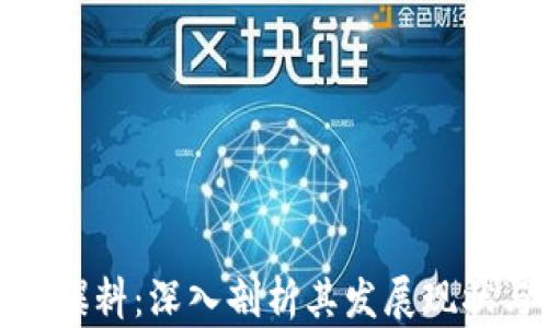 区块链Pi币爆料:深入剖析其发展现状与未来前景