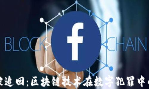 
比特币赎金被追回：区块链技术在数字犯罪中的应用与挑战