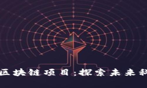 贵州最新区块链项目：探索未来科技的边界