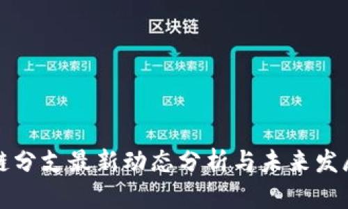 区块链分支最新动态分析与未来发展趋势