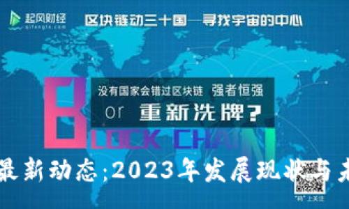 :
韩国区块链最新动态：2023年发展现状与未来趋势分析