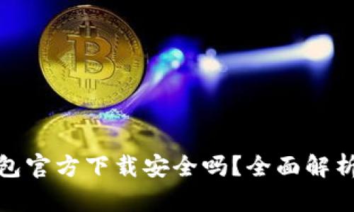 最新版TP钱包官方下载安全吗？全面解析及用户评测