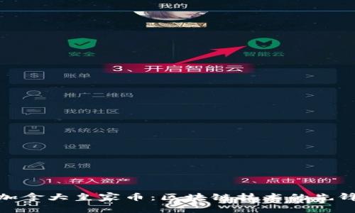 探索加拿大皇家币：区块链技术的先锋之路