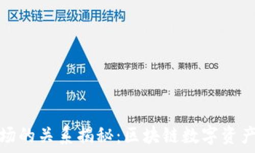   
TP钱包与波场的关系揭秘：区块链数字资产管理新选择
