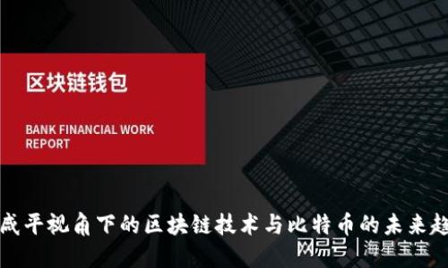 郎咸平视角下的区块链技术与比特币的未来趋势