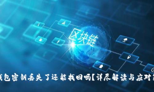TP钱包密钥丢失了还能找回吗？详尽解读与应对策略