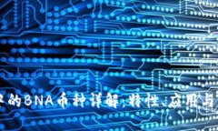 区块链中的BNA币种详解：特性、应用与未来潜力