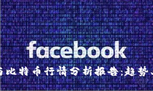 2023年区块链与比特币行情分析报告：趋势、挑战与投资机会