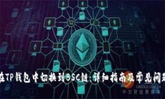 如何在TP钱包中切换到BSC链：详细指南及常见问题