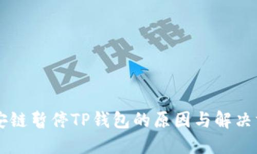币安链暂停TP钱包的原因与解决方案