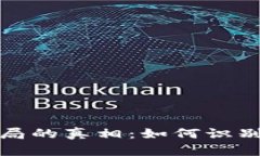 揭开区块链Plus币骗局的真相：如何识别与防范虚