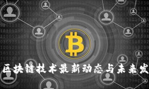 新加密区块链技术最新动态与未来发展趋势