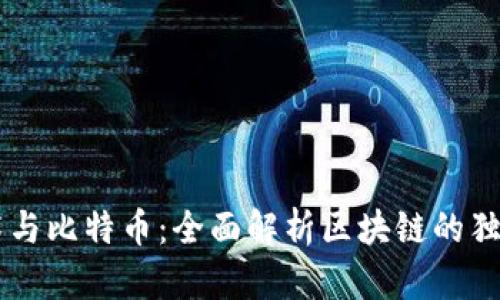 区块链技术与比特币：全面解析区块链的独特性与应用